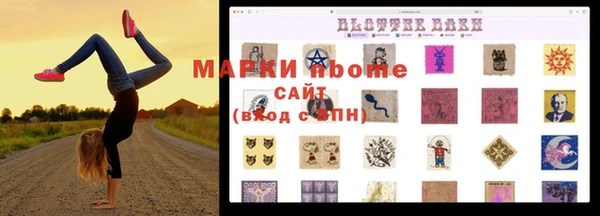 индика Алексин