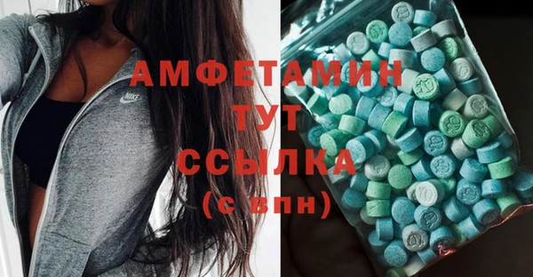 индика Алексин