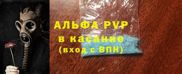 индика Алексин