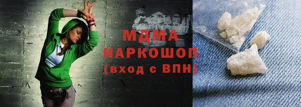 индика Алексин