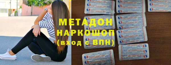 индика Алексин